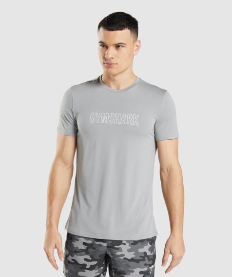 Men's Gymshark Arrival Graphic T-Shirts Light Grey | NZ 7WESHL